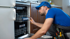 Noisy or Vibrating Dishwashers